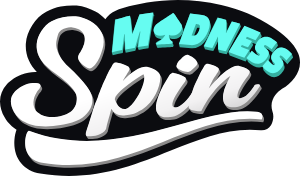 Spin Madness logo