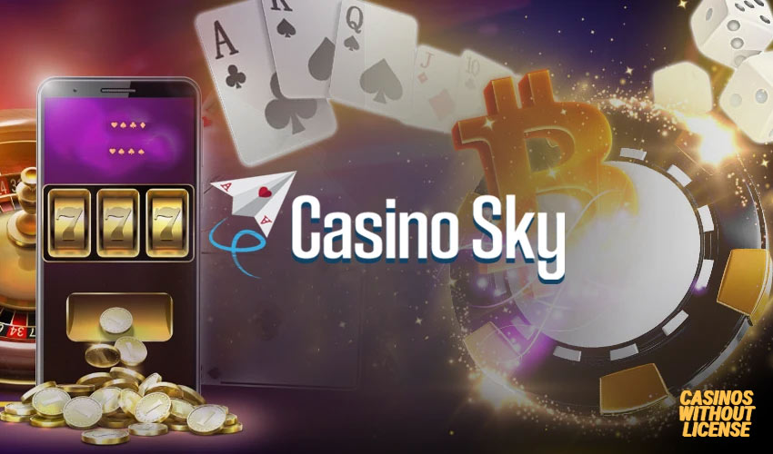 Payment options at Casino Sky