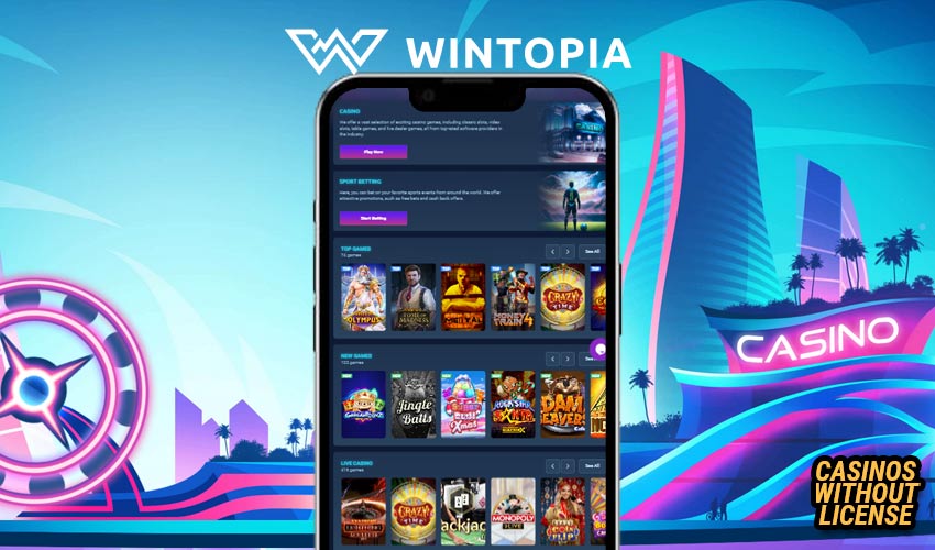 Mobile gaming at Wintopia 