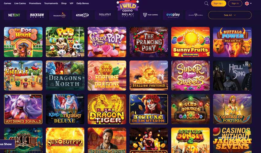 slots at iWild casino 